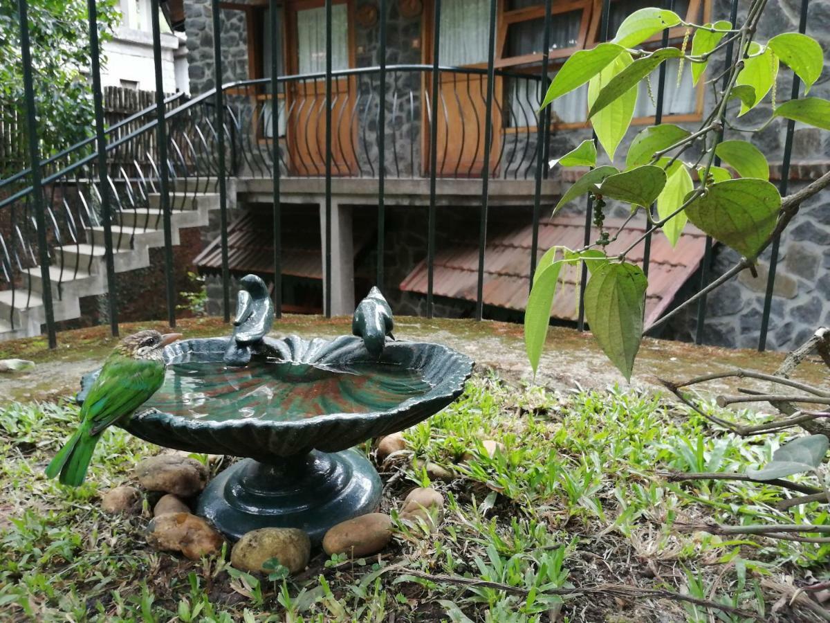 Wildernest Bed & Breakfast Thekkady Ngoại thất bức ảnh
