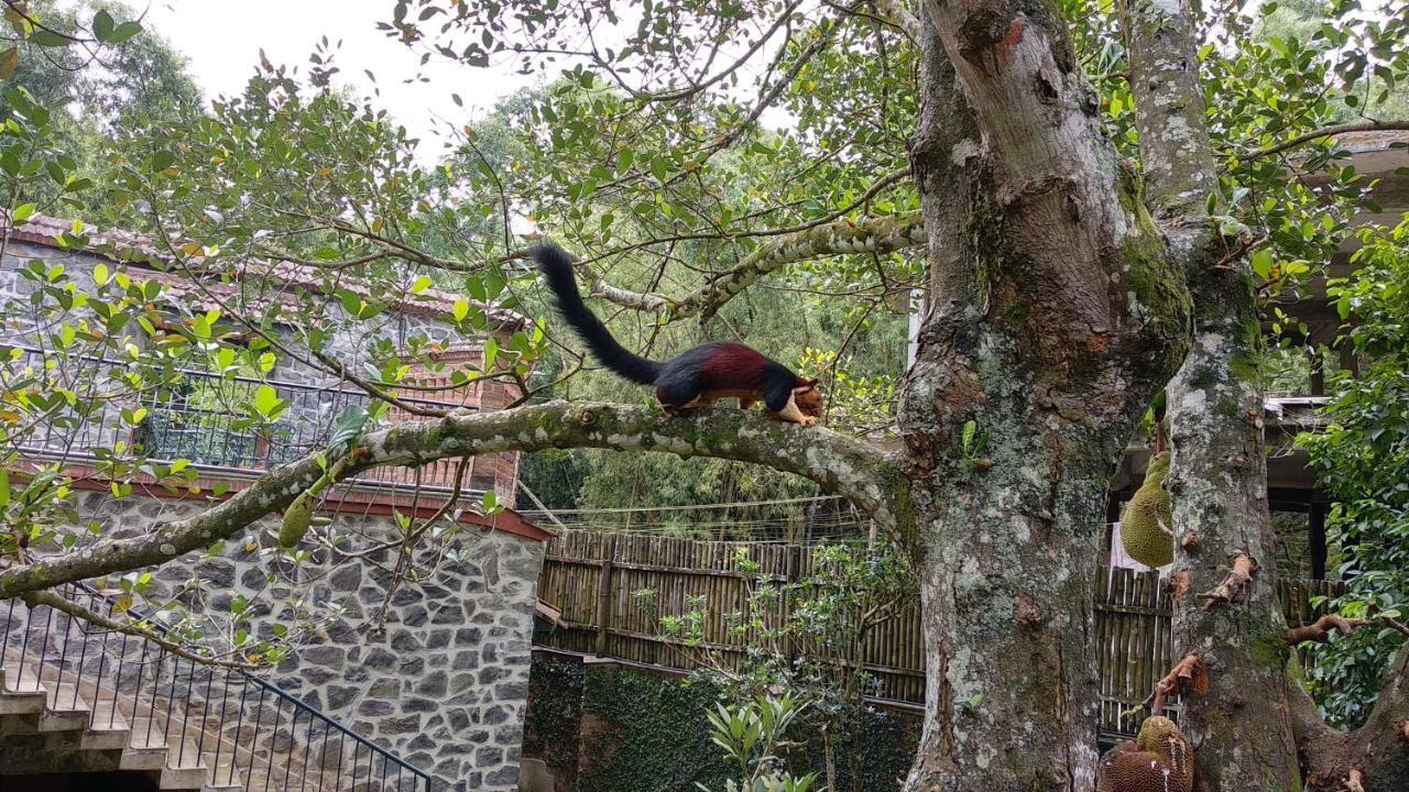 Wildernest Bed & Breakfast Thekkady Ngoại thất bức ảnh