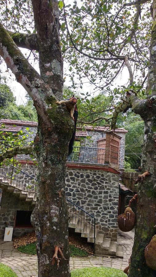 Wildernest Bed & Breakfast Thekkady Ngoại thất bức ảnh